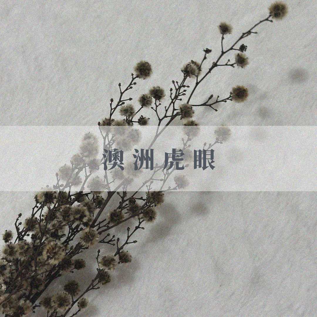 澳洲虎眼