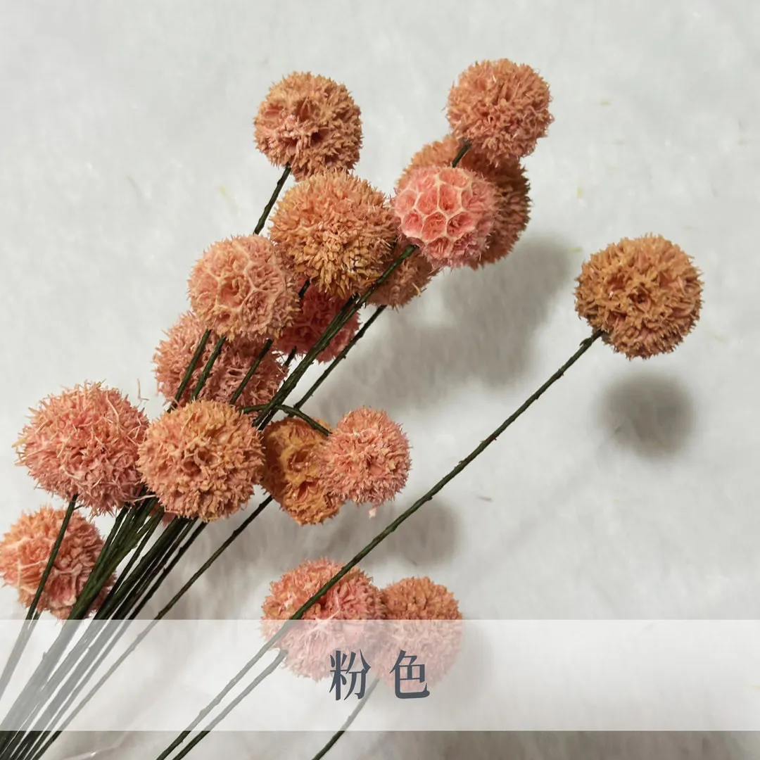 乾燥手工楓球