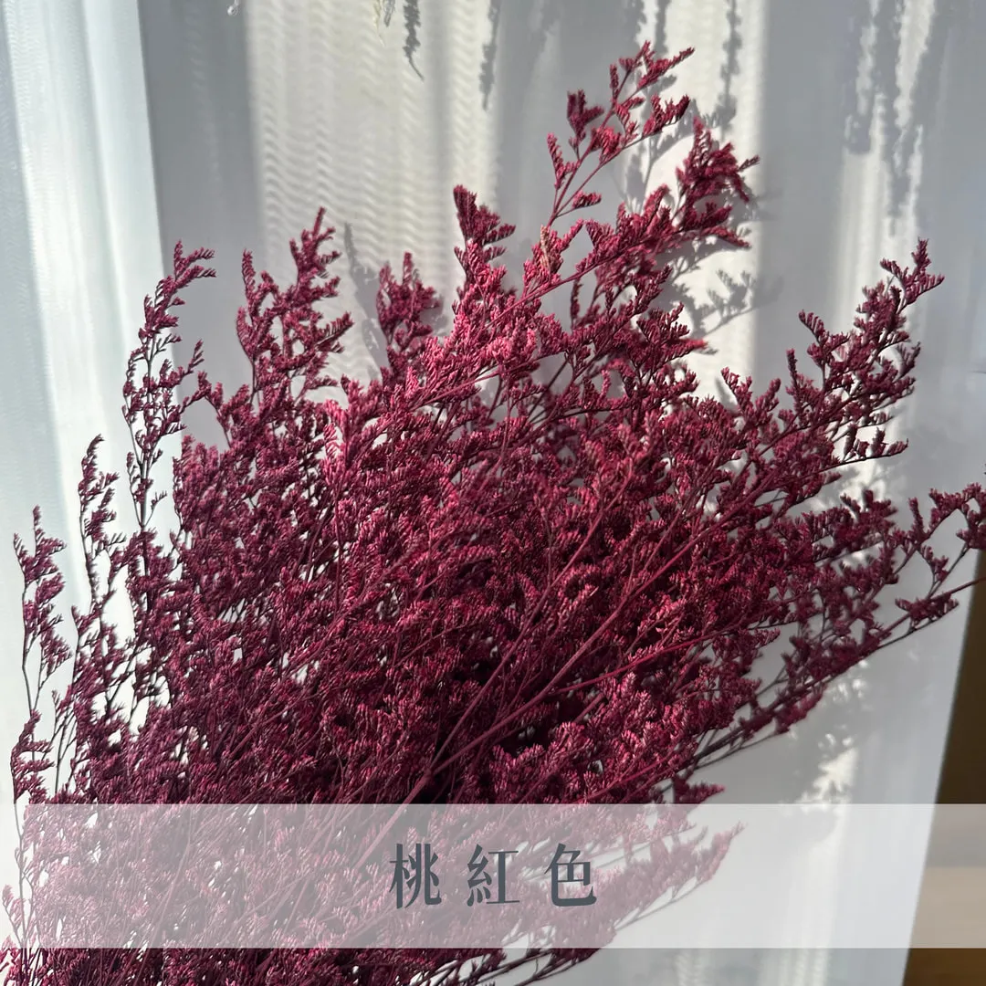 不凋卡斯比亞