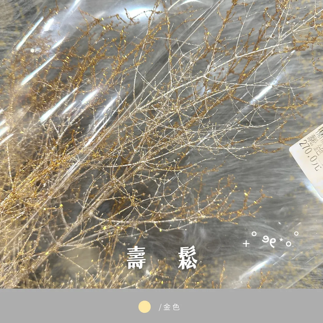 壽松正裝
