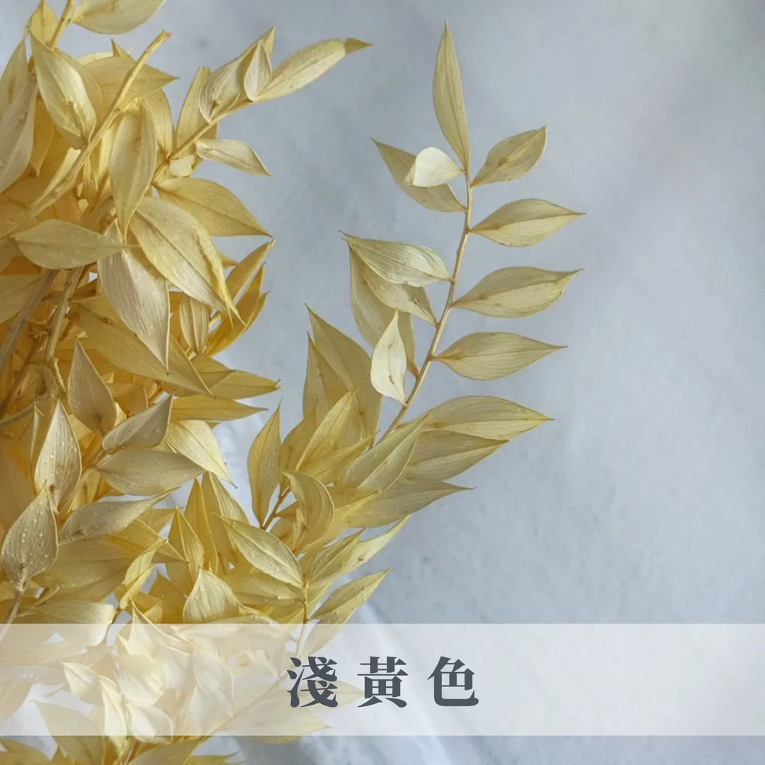 富貴葉