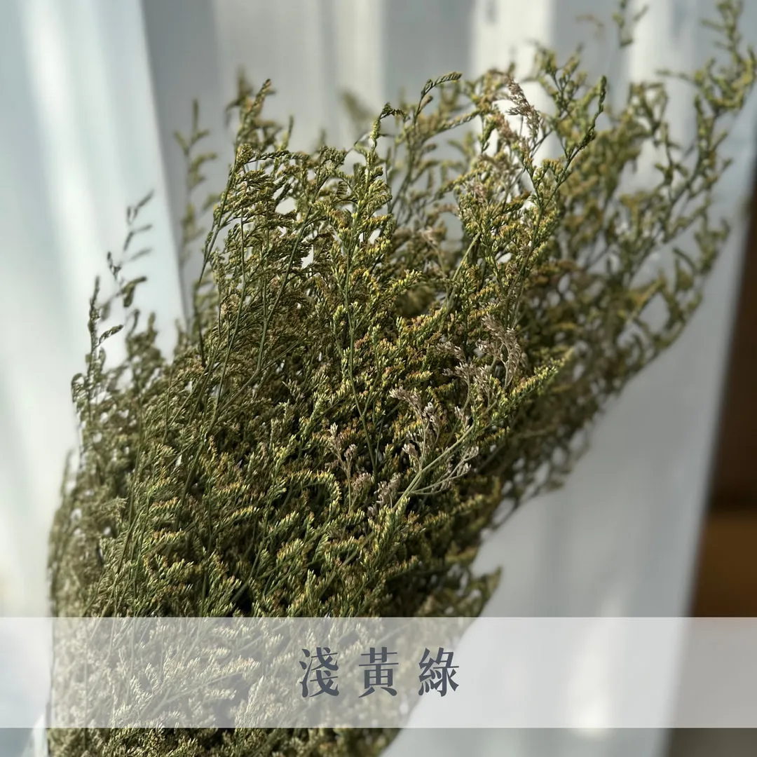 不凋卡斯比亞