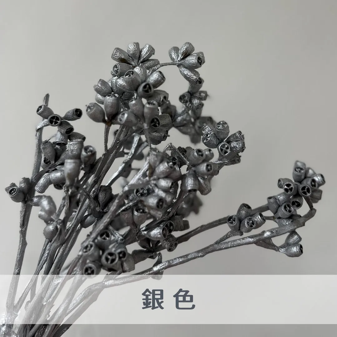 殭屍果