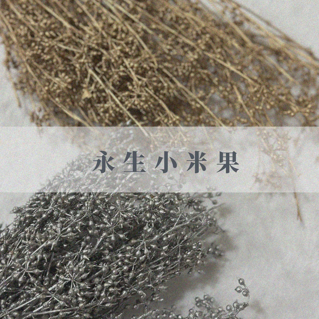 永生小米果