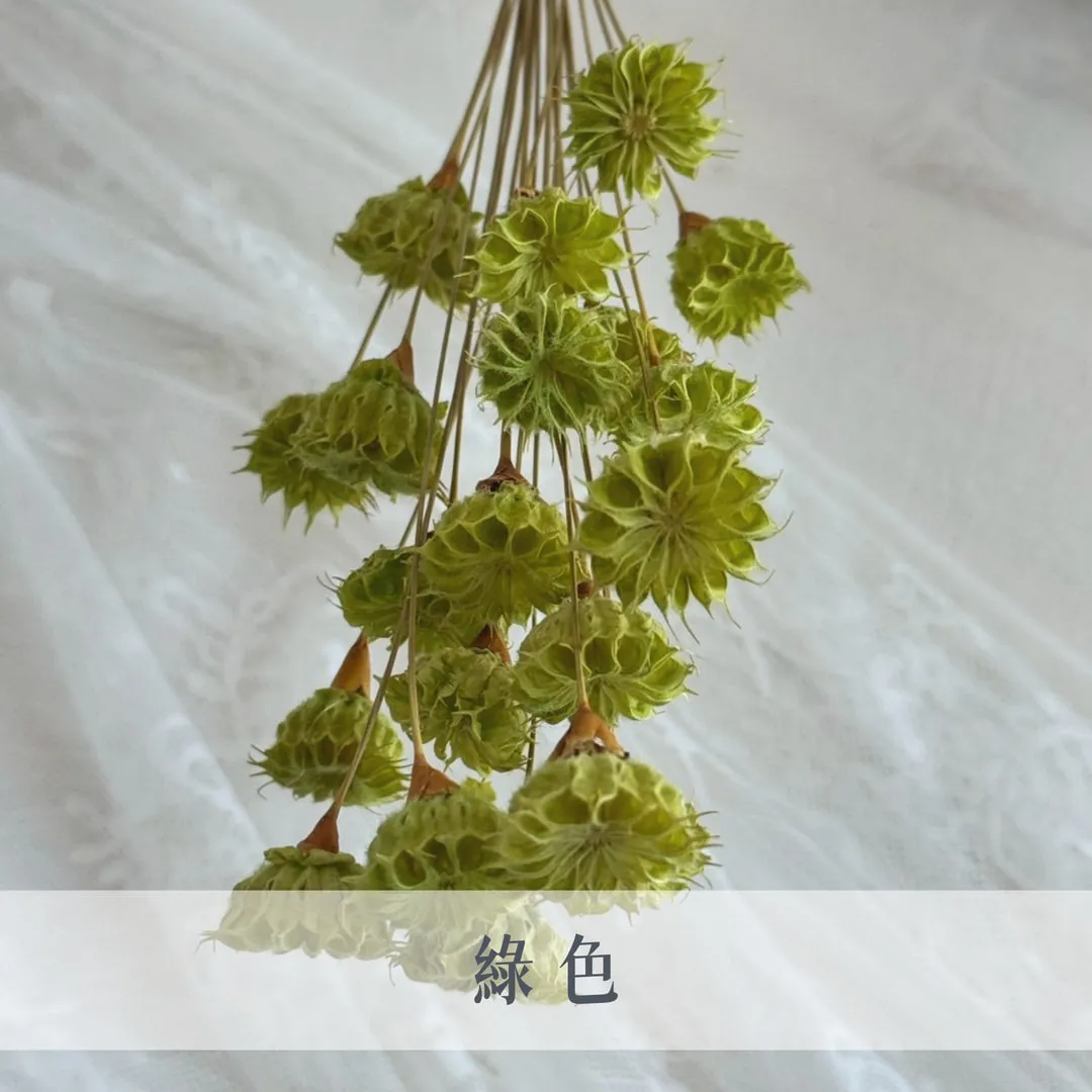 乾燥小酒盅