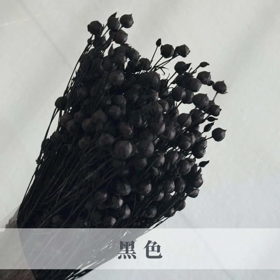 乾燥臨花