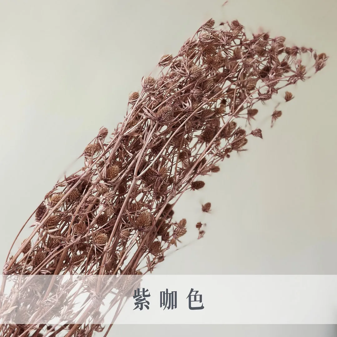 不凋小紫薊