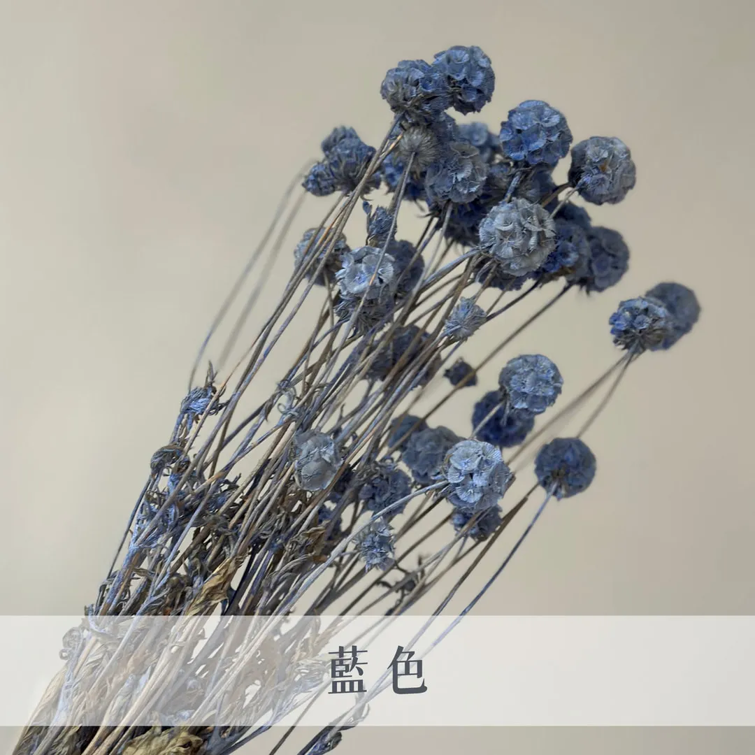 永生松蟲果
