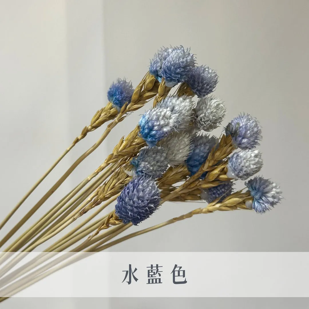 草莓果
