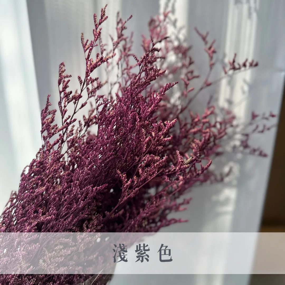 不凋卡斯比亞