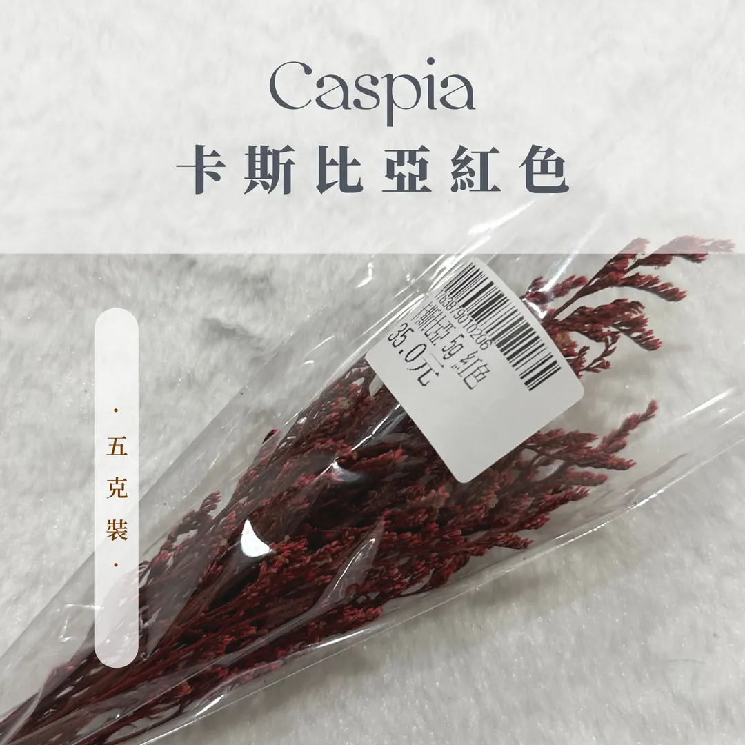 卡斯比亞小包裝5g