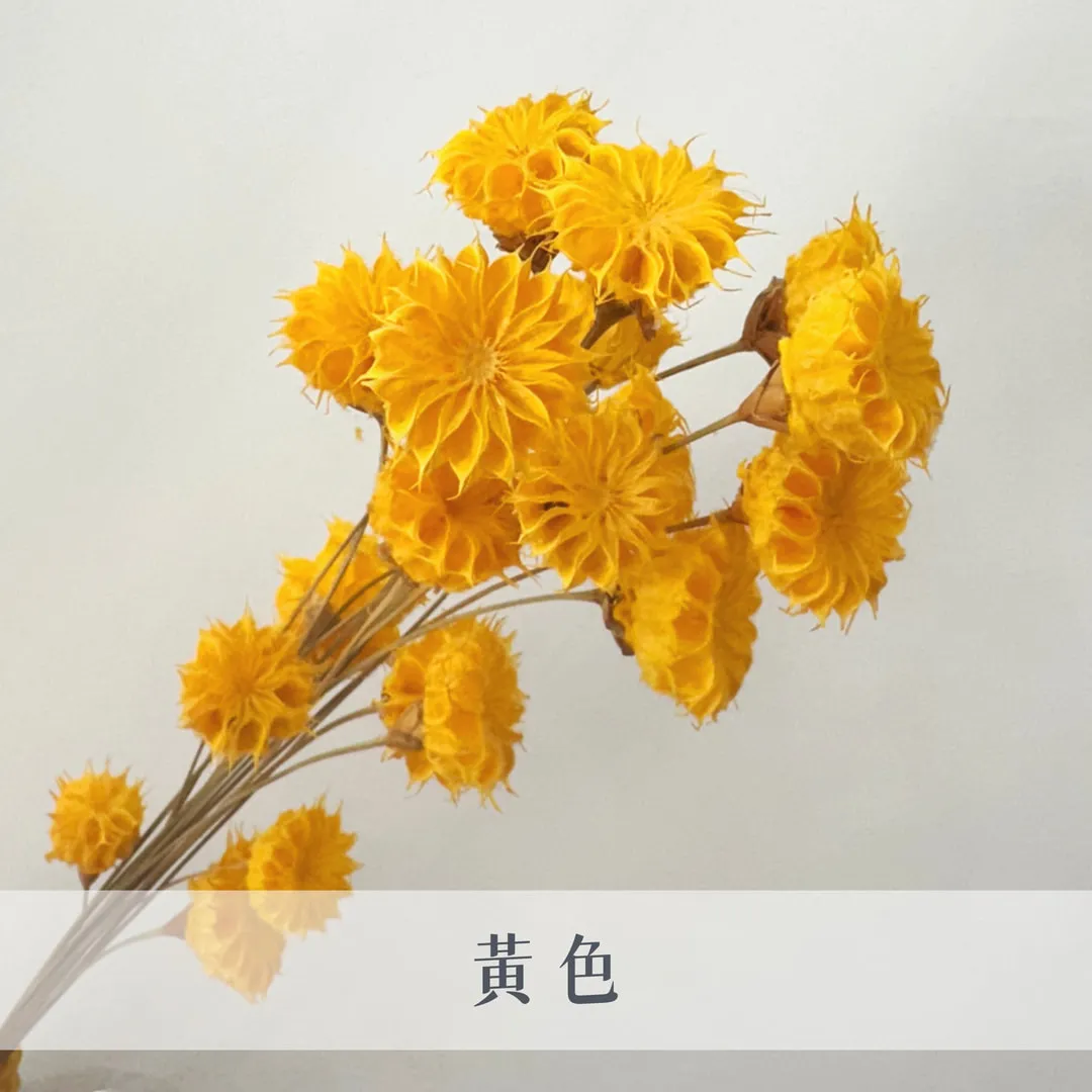 乾燥小酒盅