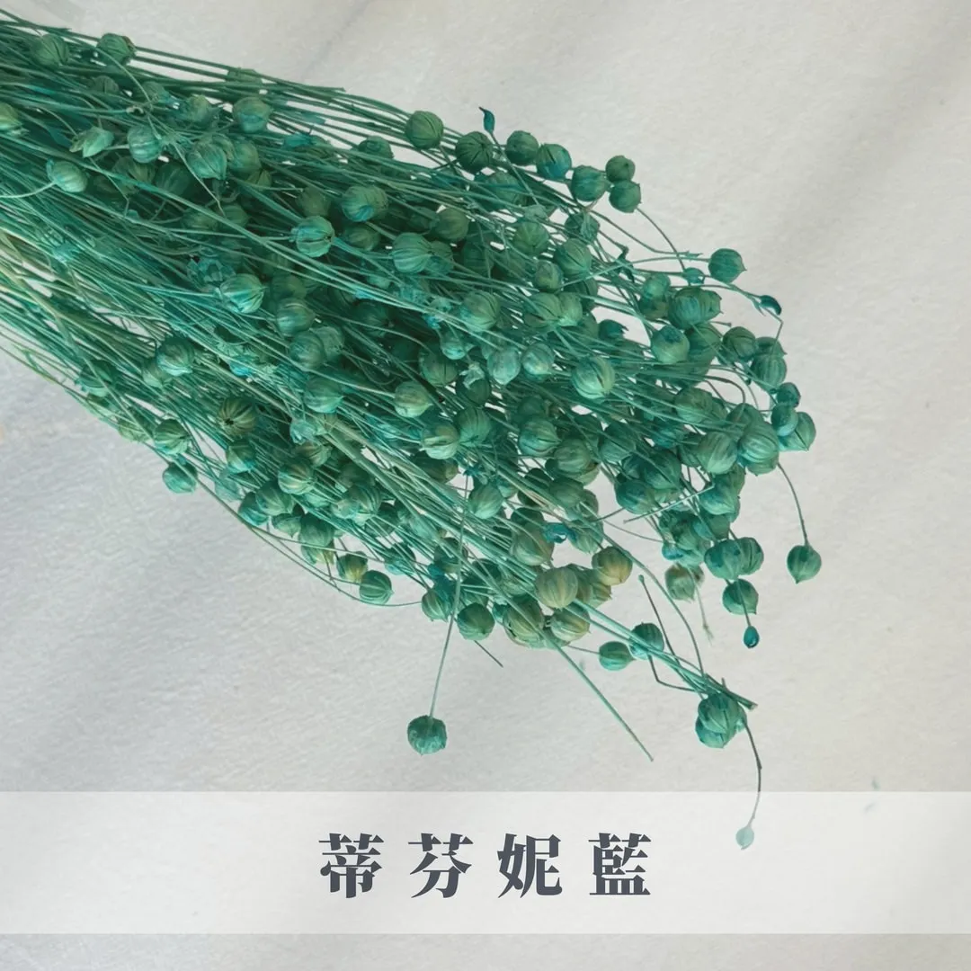 乾燥臨花