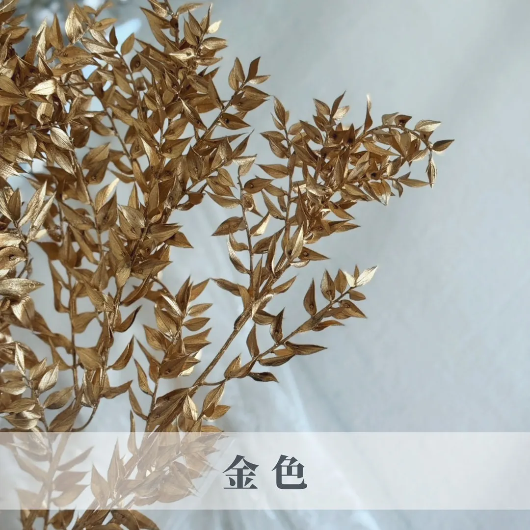 富貴葉