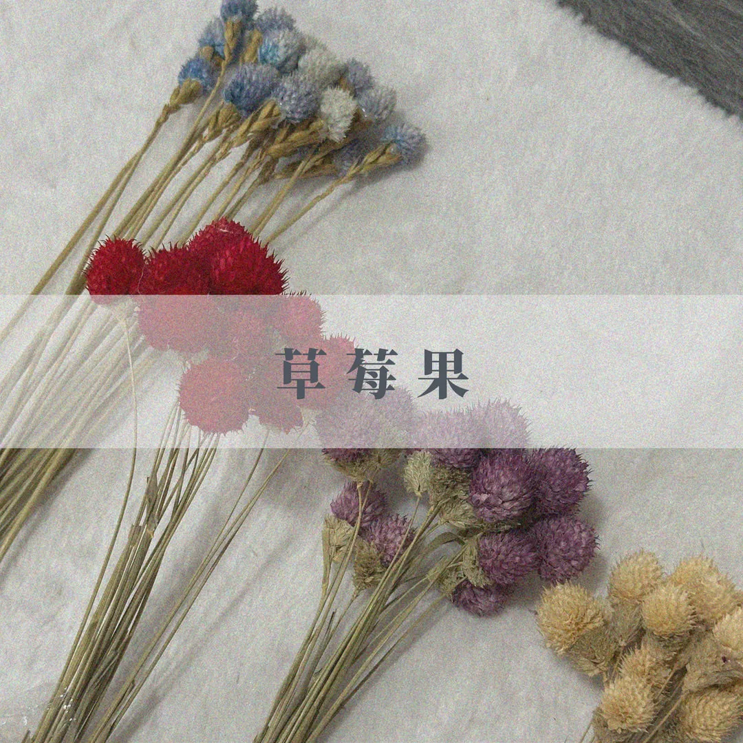 草莓果