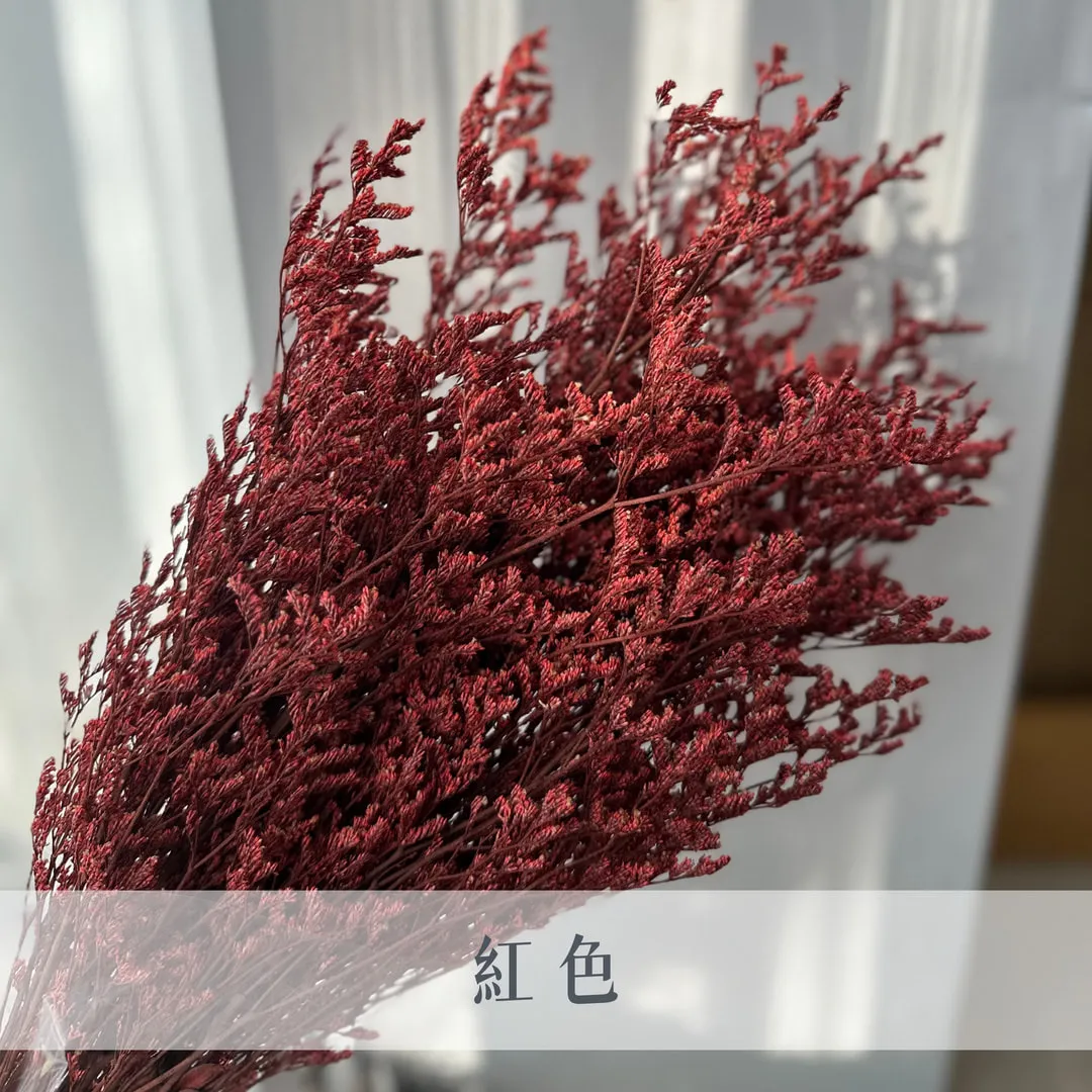 不凋卡斯比亞
