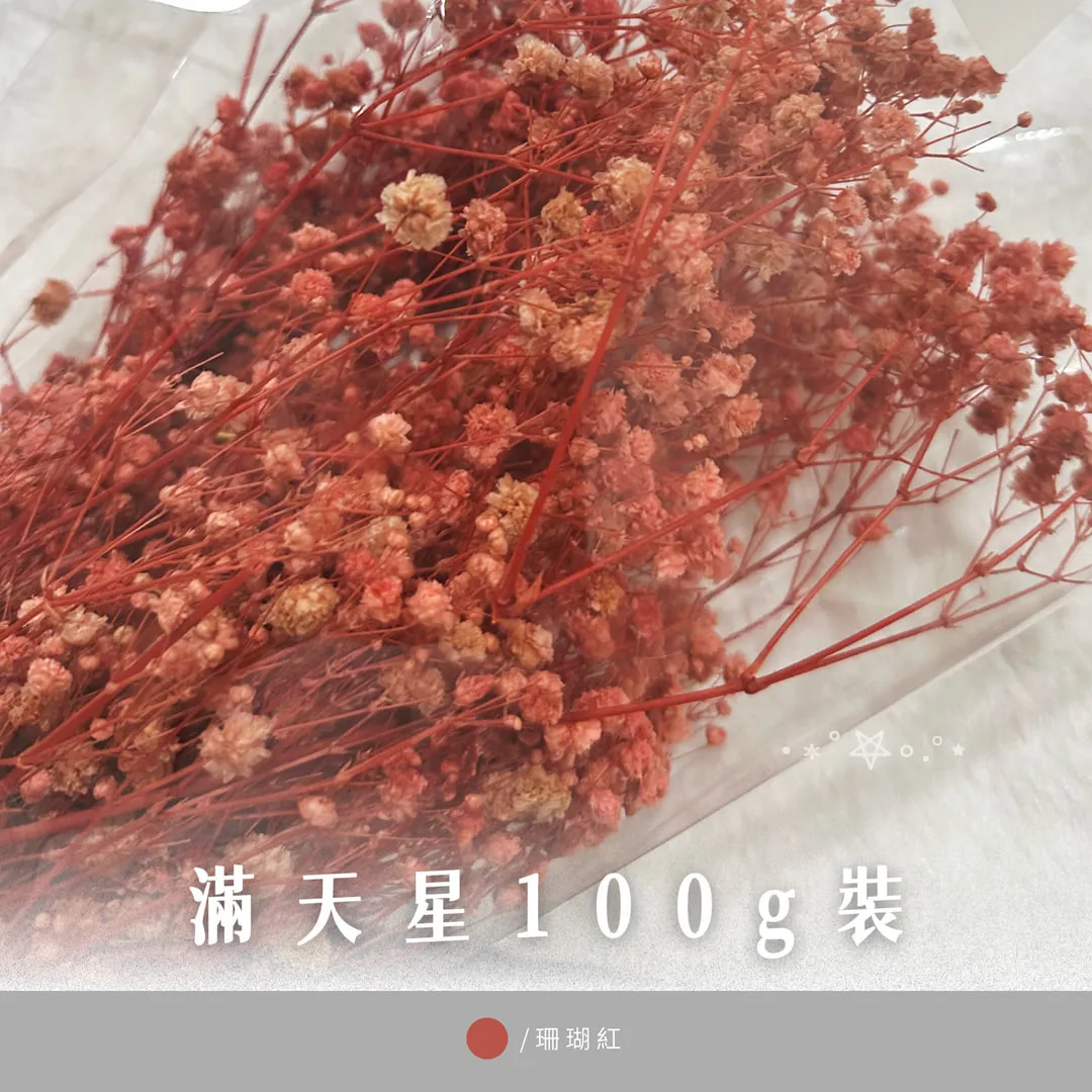 滿天星100g