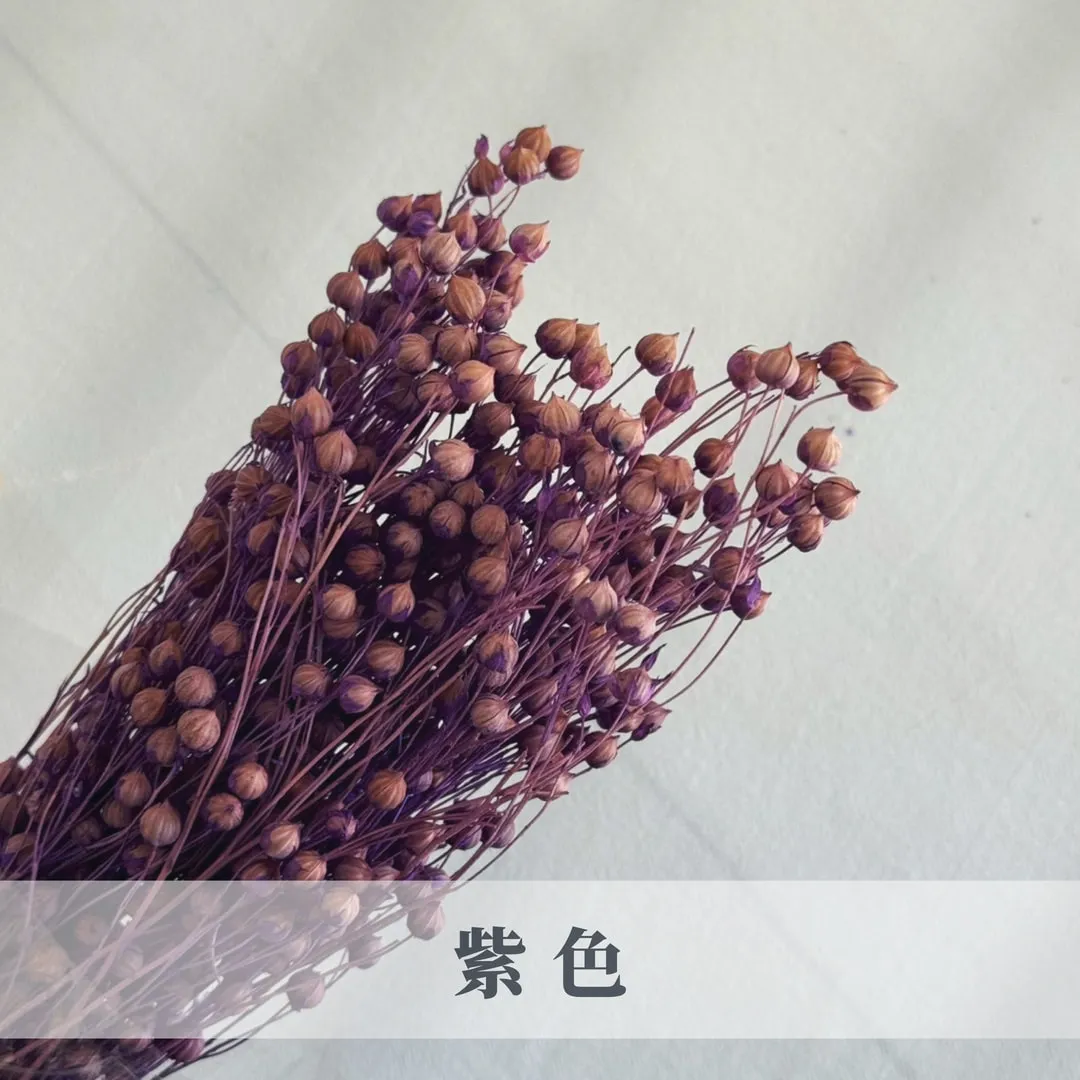 乾燥臨花