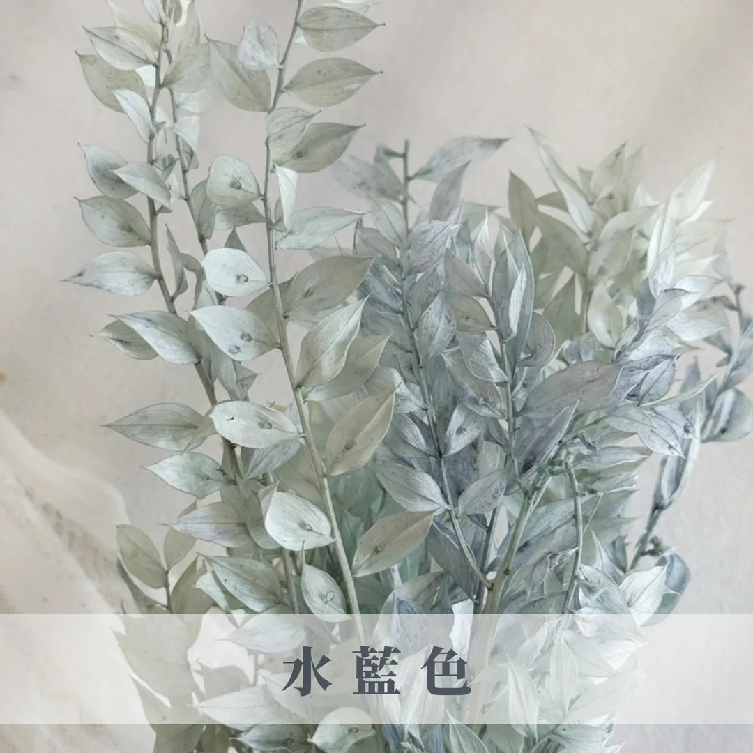 富貴葉