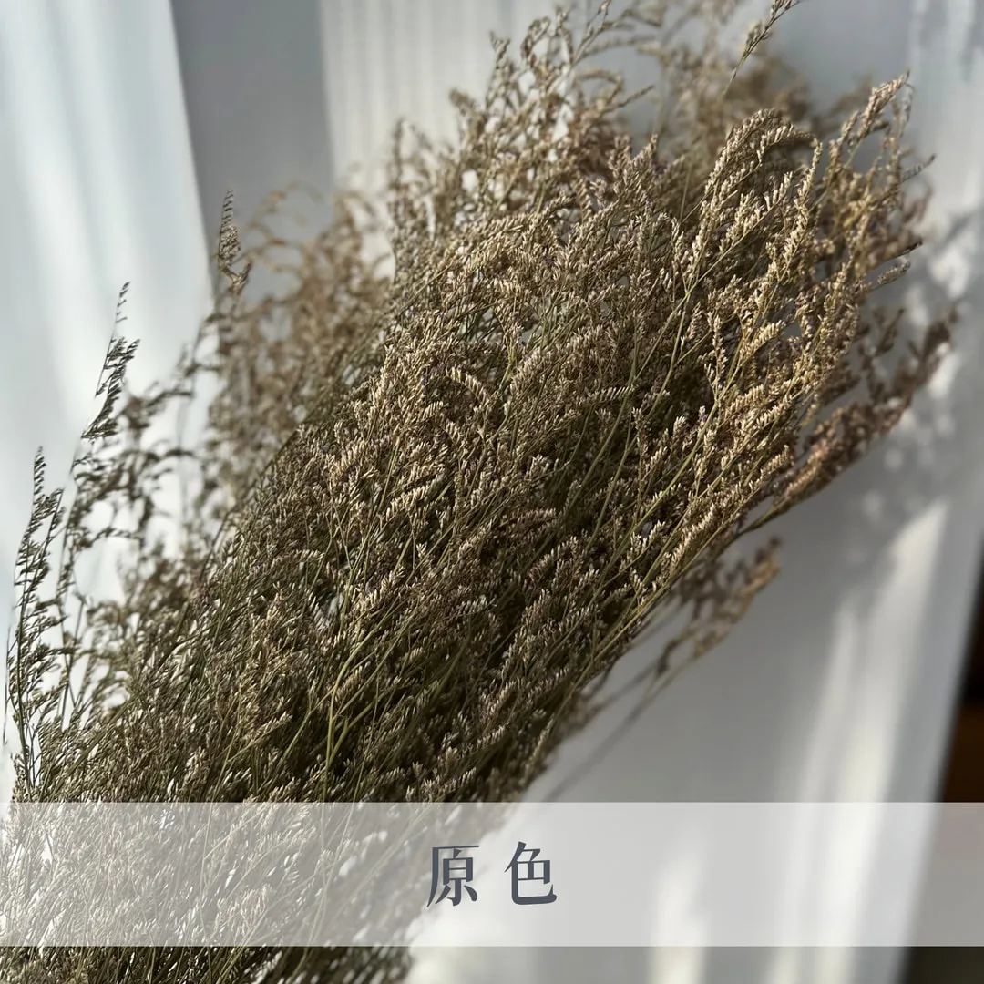 不凋卡斯比亞