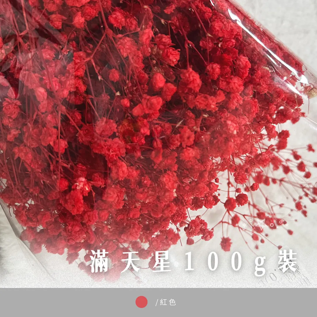 滿天星100g