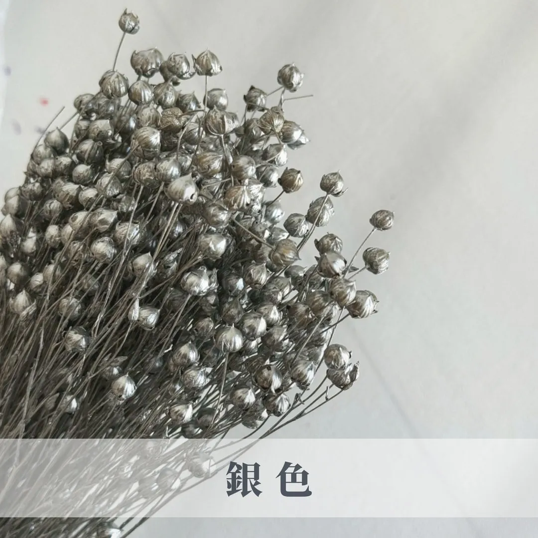 乾燥臨花