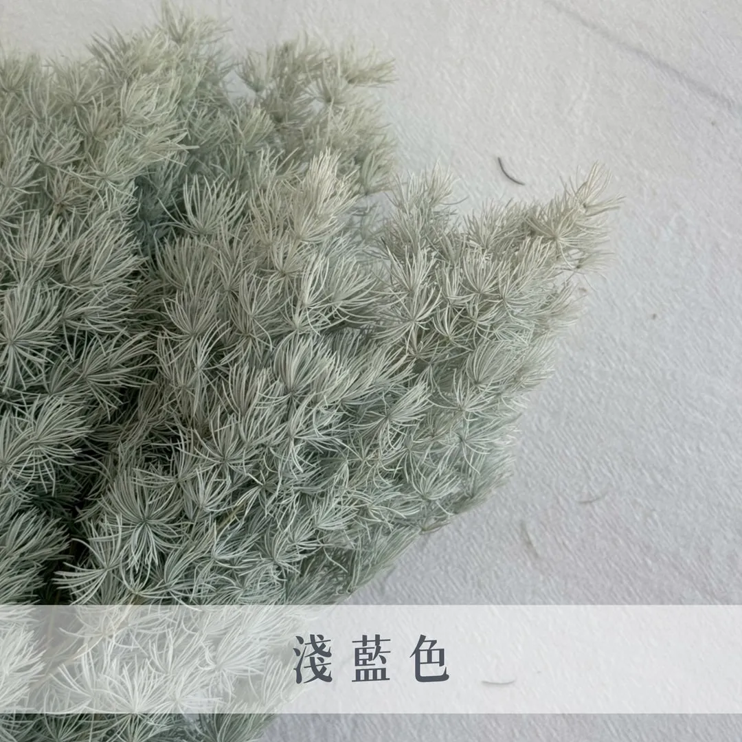 永生蓬萊松
