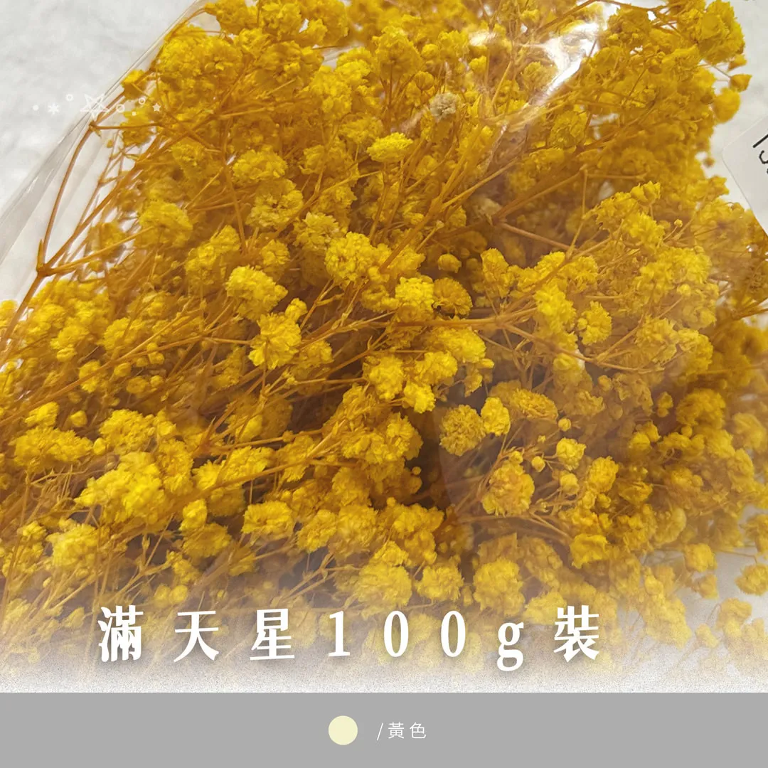 滿天星100g