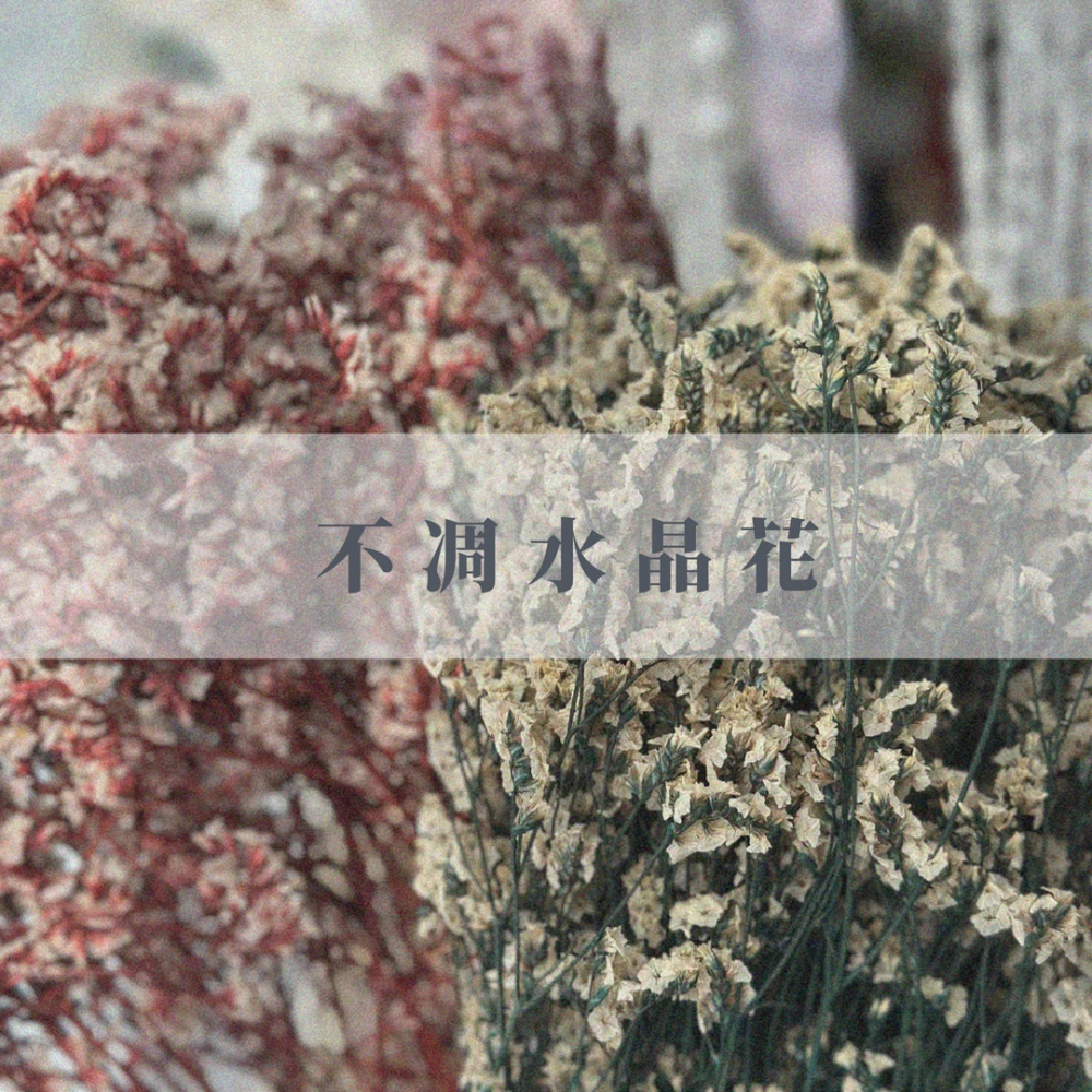 不凋水晶花