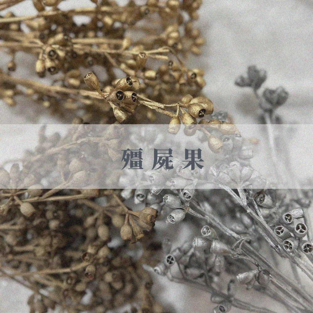 殭屍果