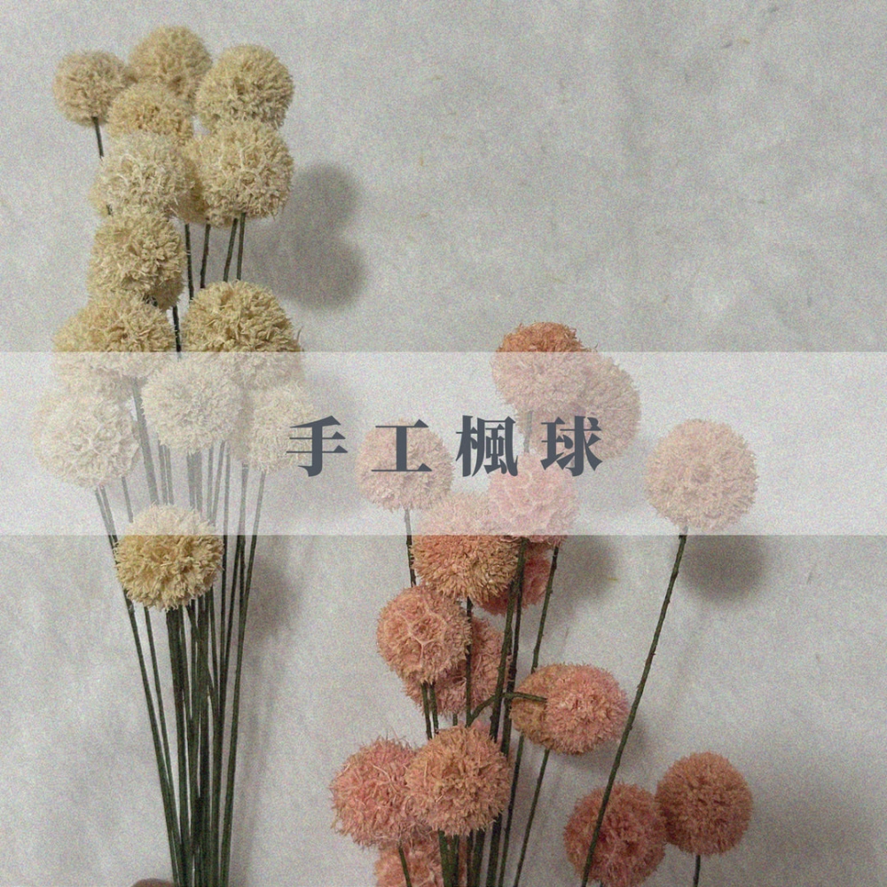 乾燥手工楓球