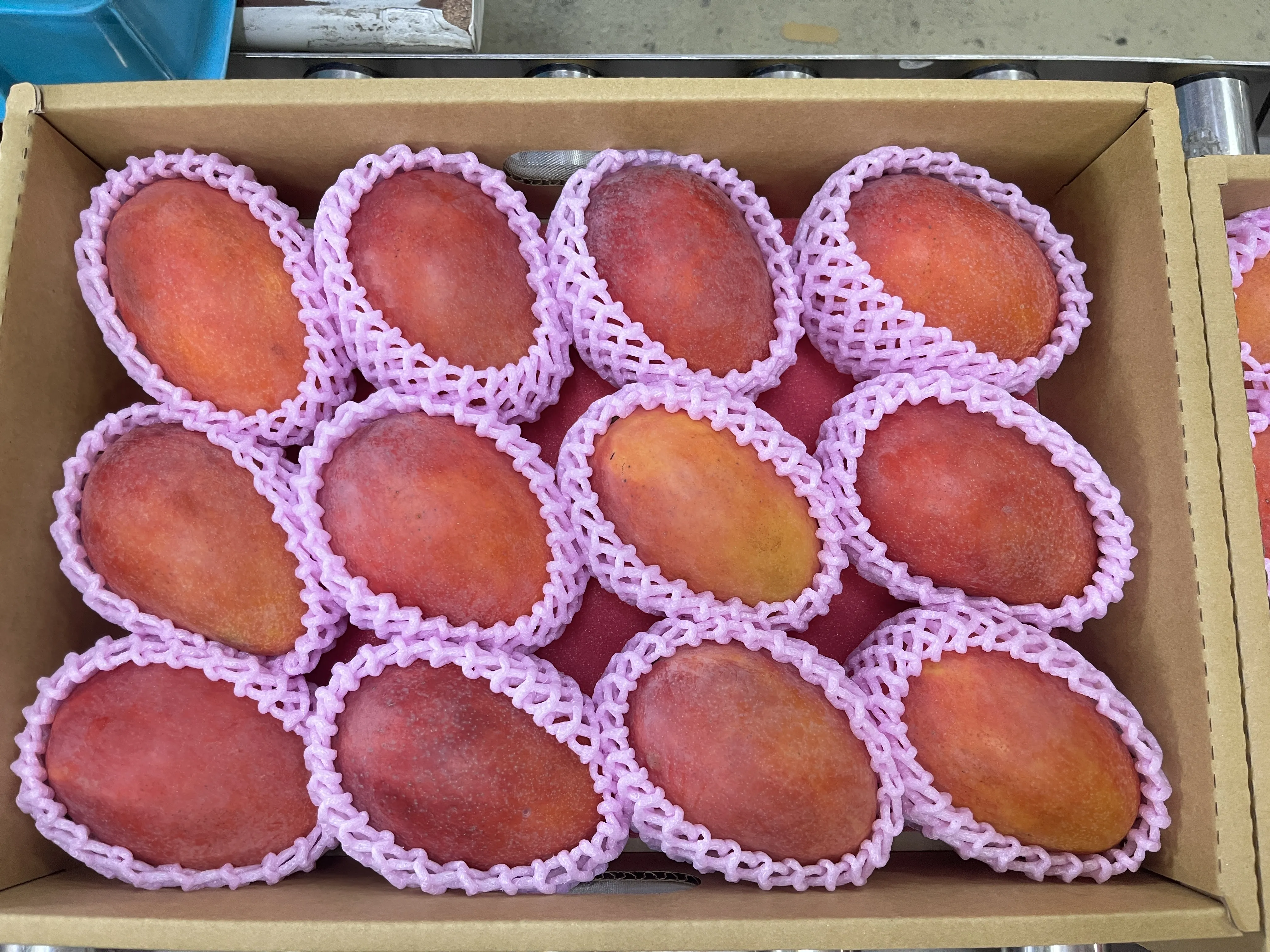 台灣愛文芒果