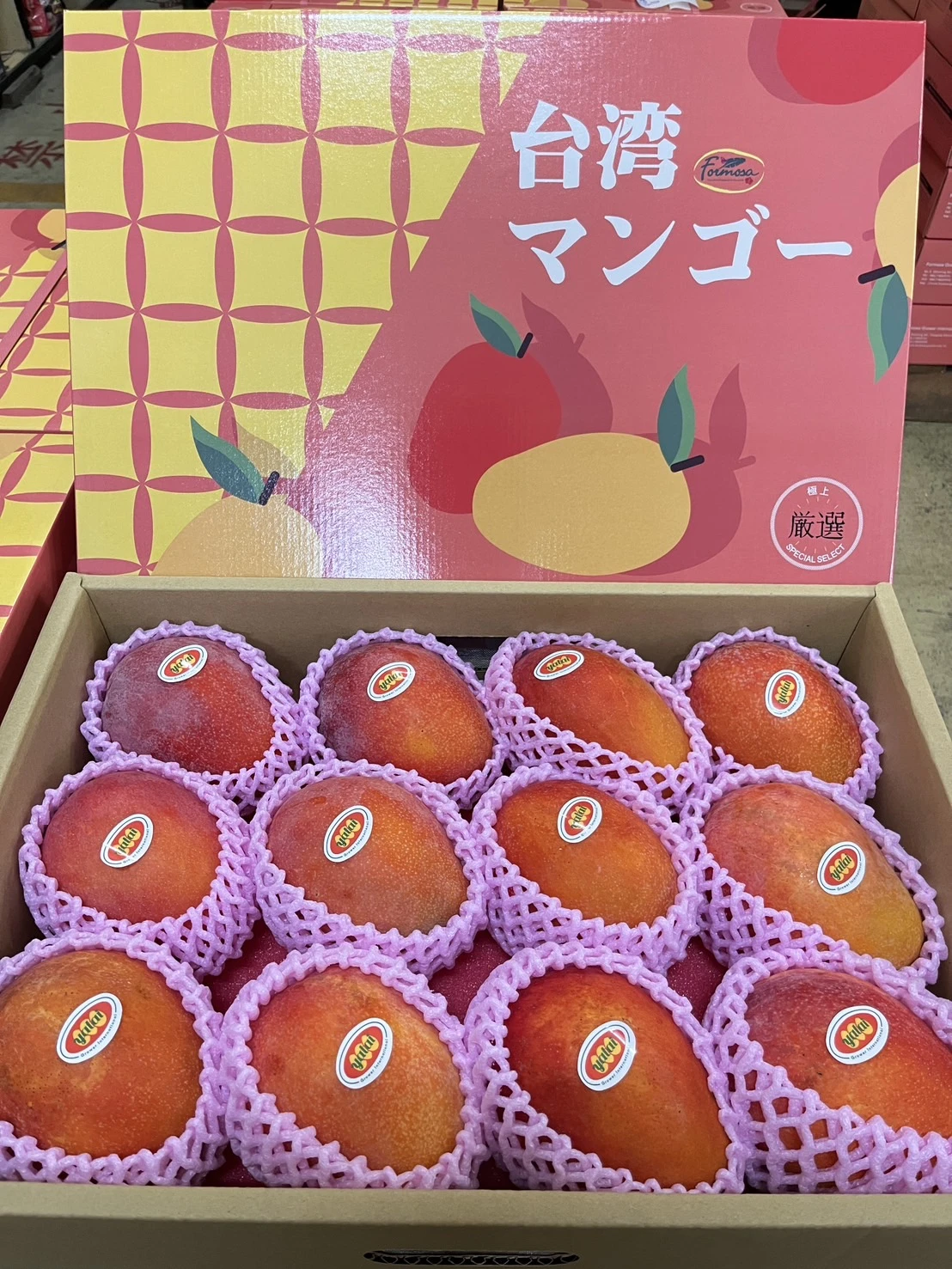 [宅配日本]台灣愛文芒果禮盒5KG 10~16P