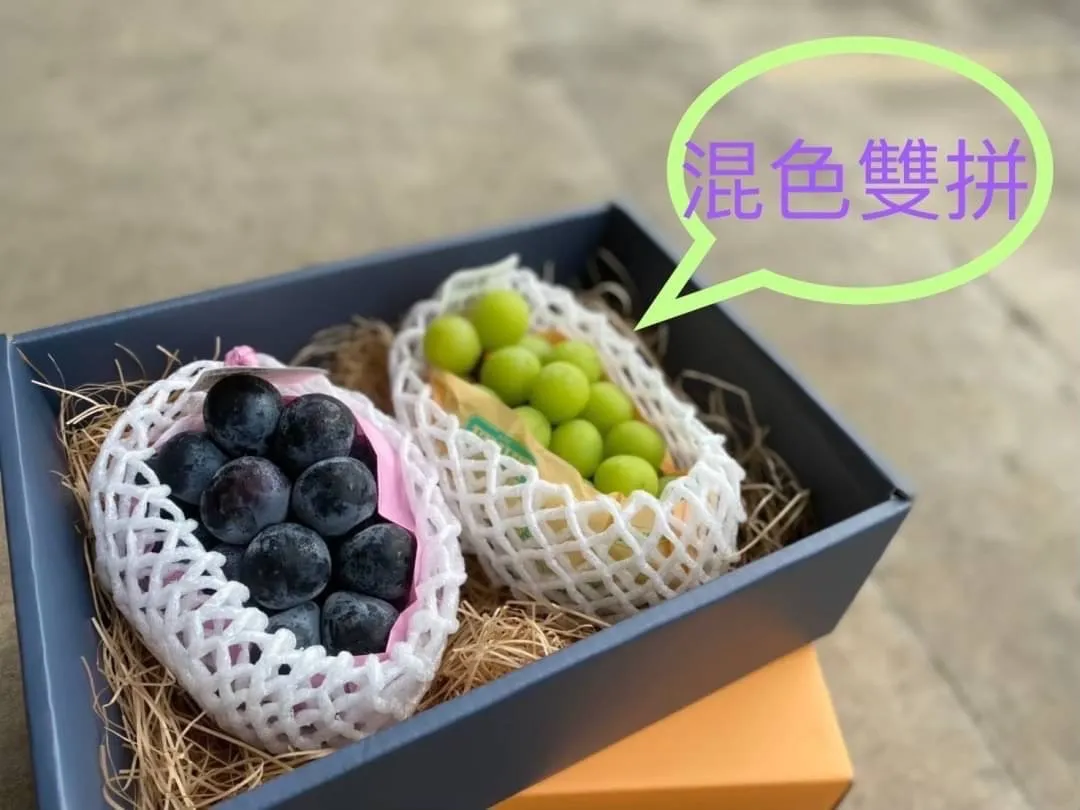 韓國麝香葡萄