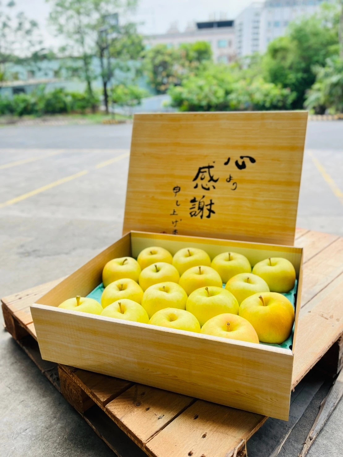 日本青森水蜜桃蘋果/土歧TOKI