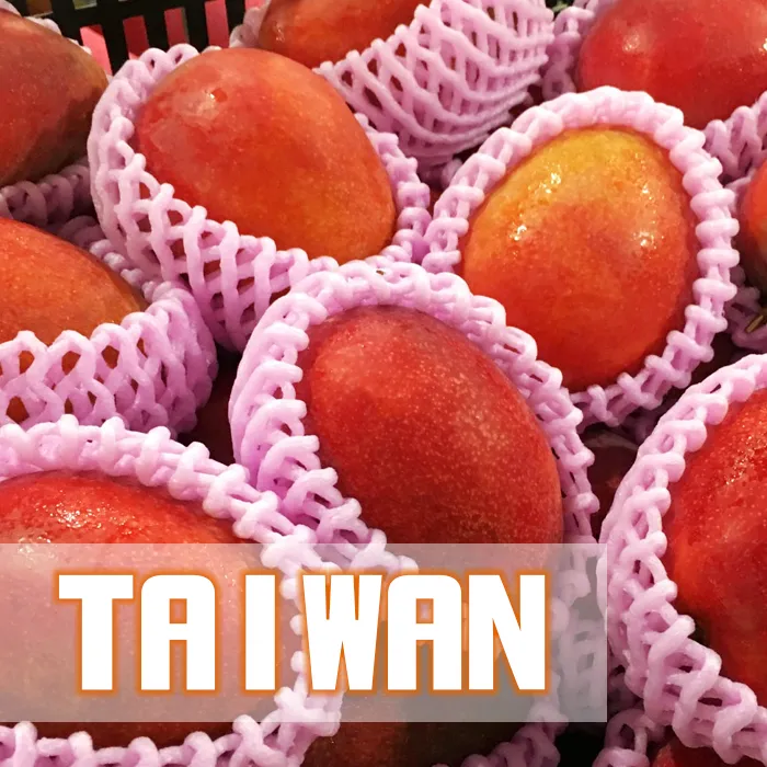 台灣愛文芒果