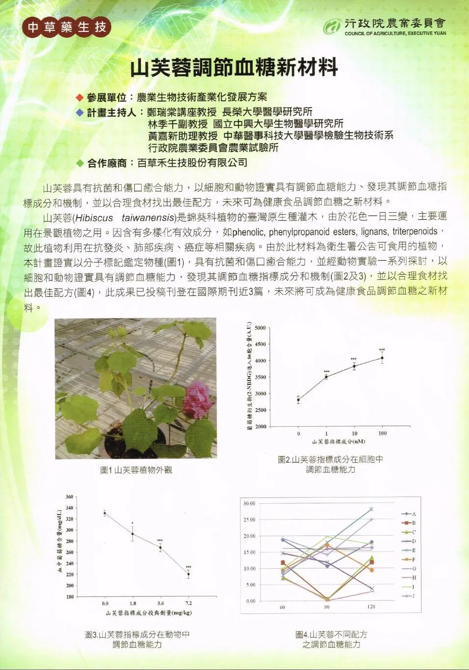 山芙蓉草本修護凝膠