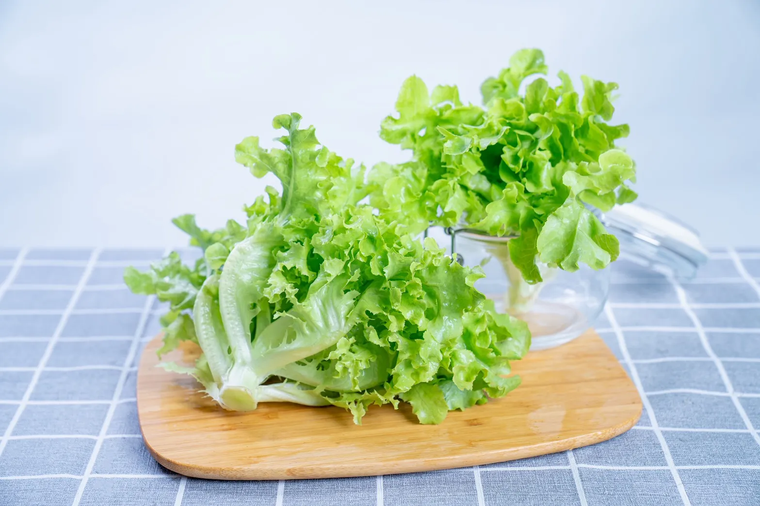 綠橡木600g