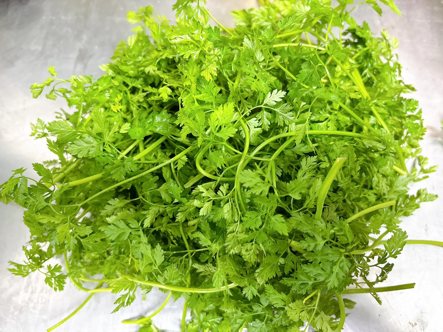 山蘿蔔葉100g