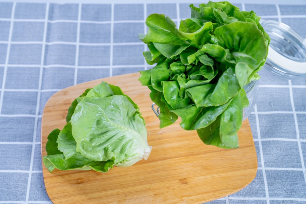 波士頓奶油600g