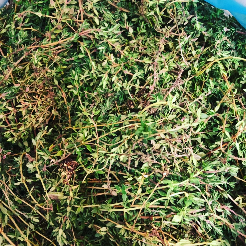 百里香40g