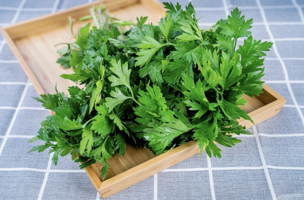 歐芹（平葉巴西里）100g