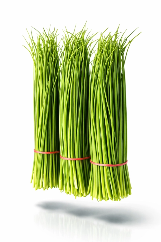 蝦夷蔥100g