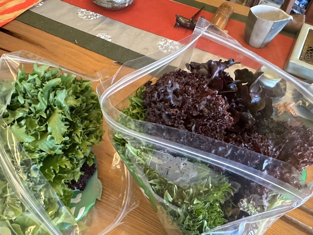 綜合生菜包300g
