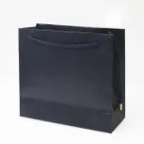 卡緹亞紙皮紙袋 x100 藍