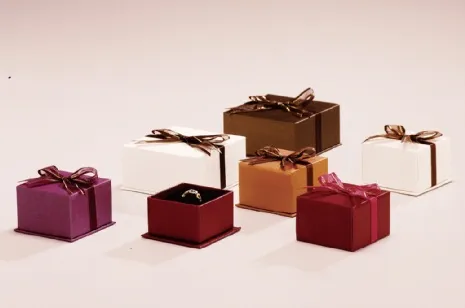 (缺貨)艾莉絲多功能盒(12入) 咖啡