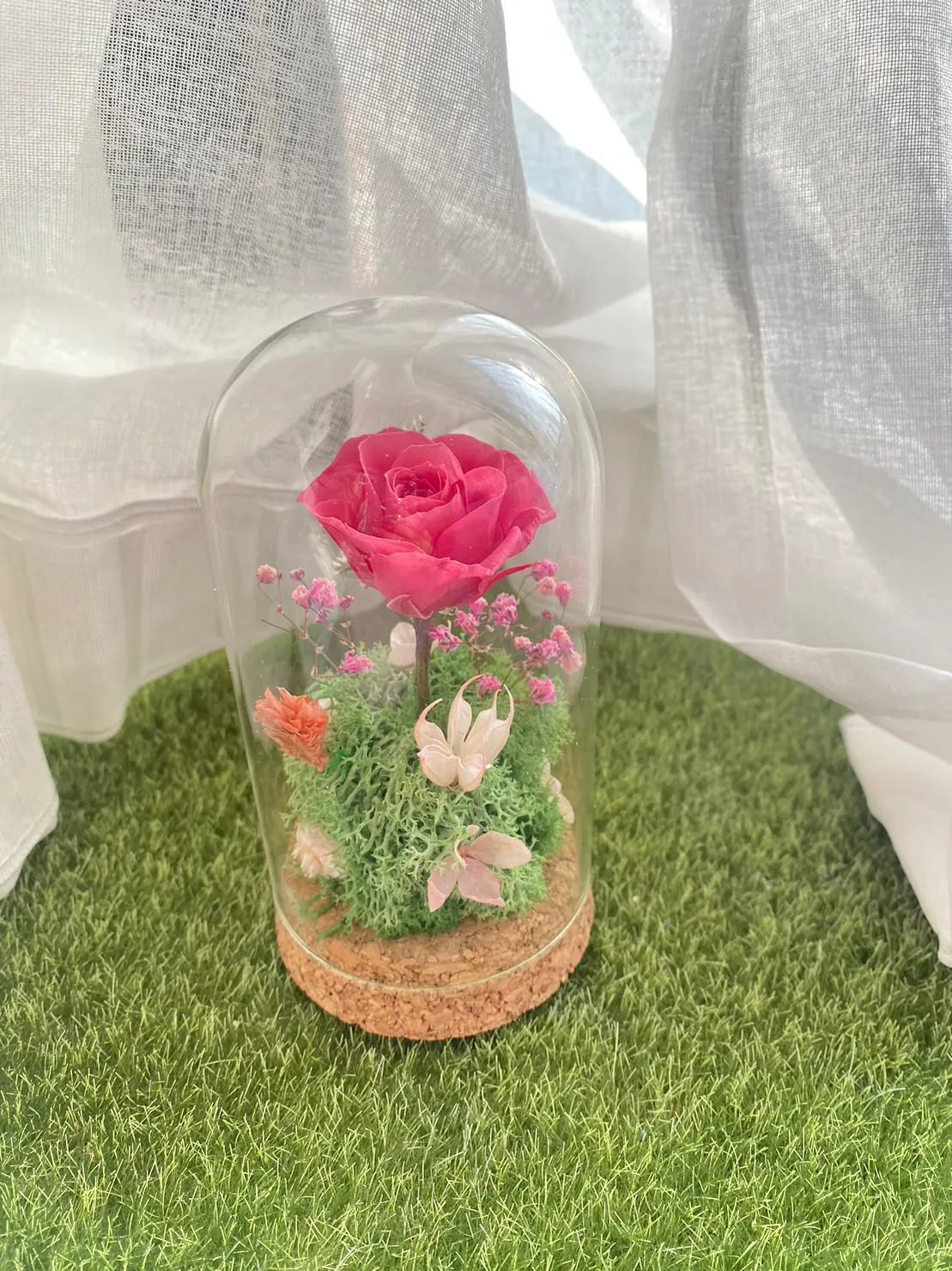  無燈光小資款