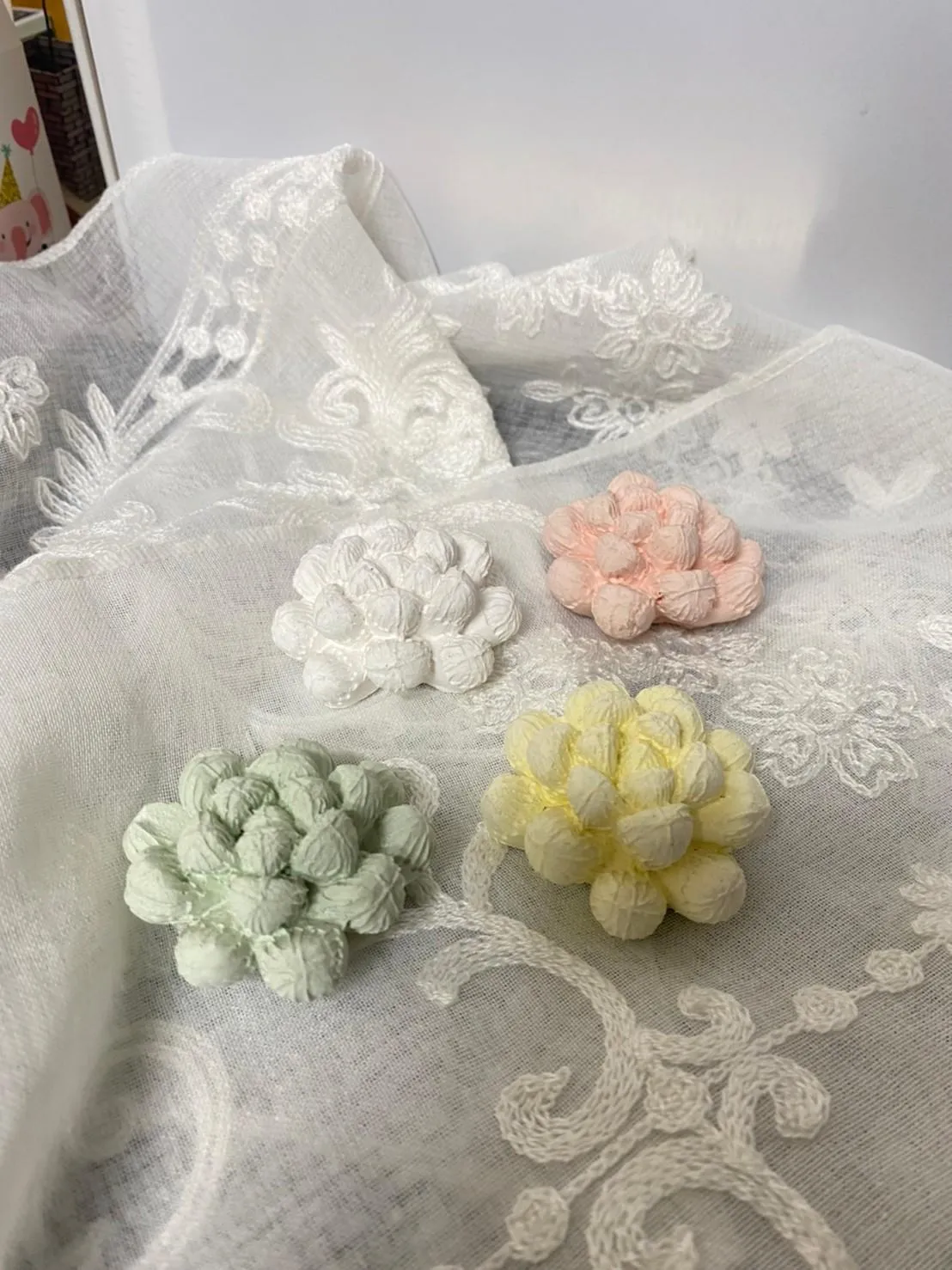 植物款