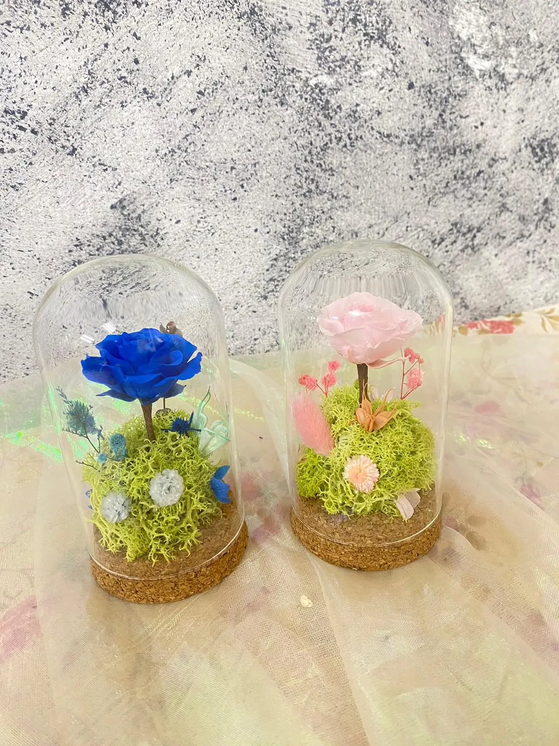  無燈光小資款