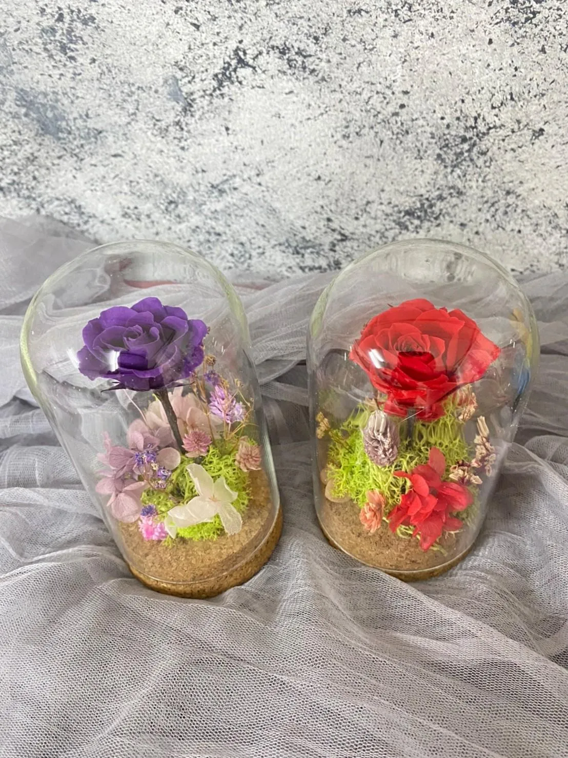  無燈光小資款